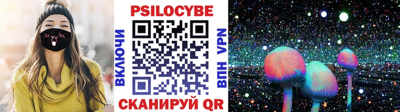 мега зеркало  Новосибирск  Галлюциногенные грибы прущие грибы 